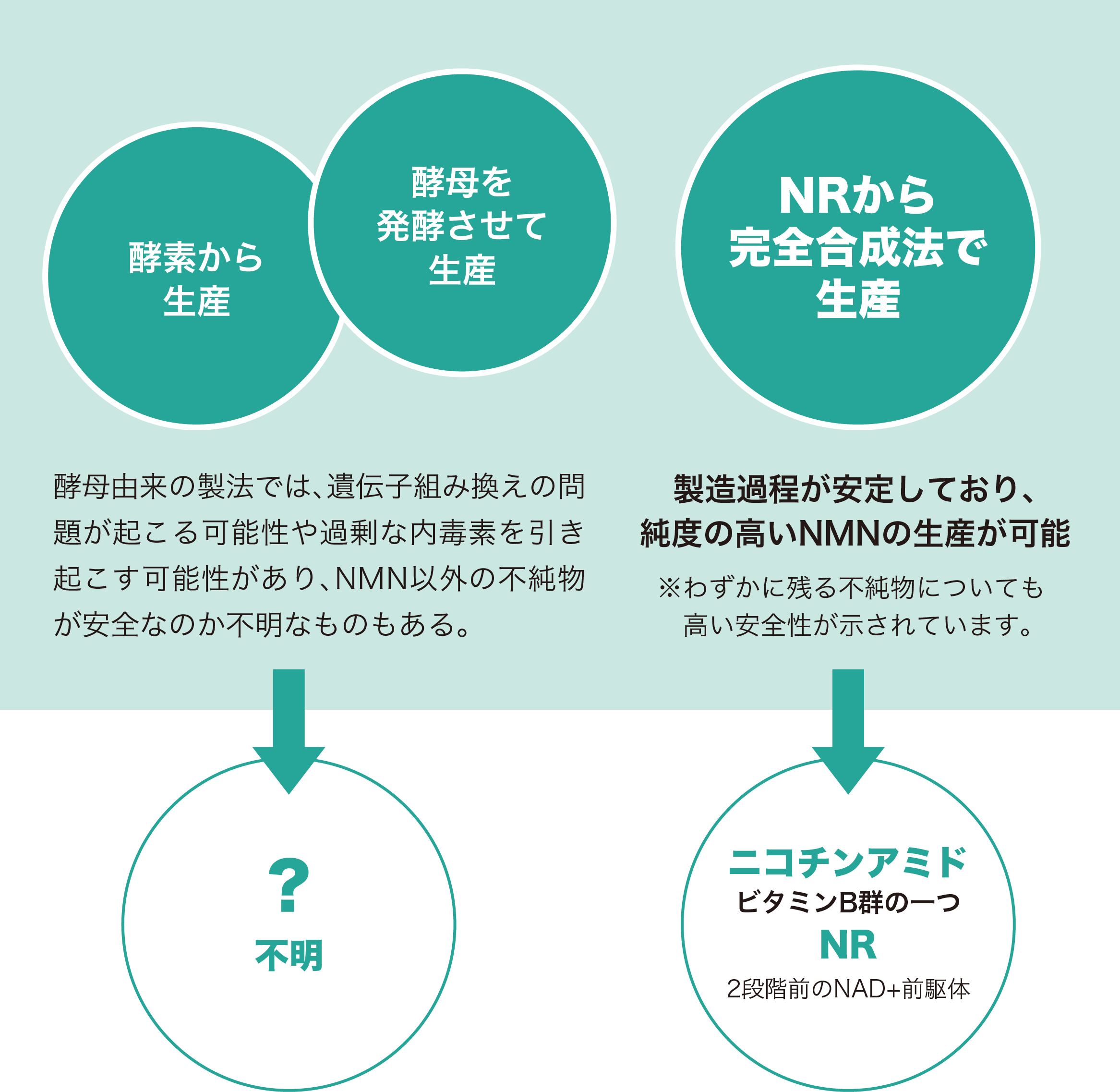 酵母由来の製法では､遺伝子組み換えの問題が起こる可能性や過剰な内毒素を引き起こす可能性があり､NMN以外の不純物が安全なのか不明なものもある｡　製造過程が安定しており､純度の高いNMNの生産が可能 ※わずかに残る不純物についても高い安全性が示されています｡